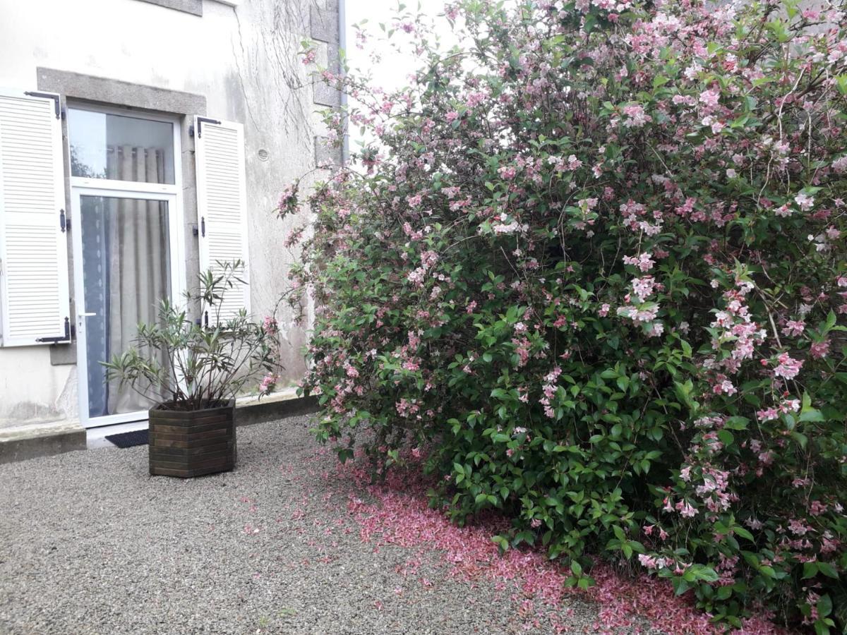 "Cosy Trendy & Chic" - Stayhome Quimper Buitenkant foto